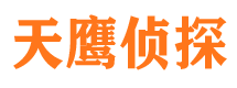 唐河侦探公司